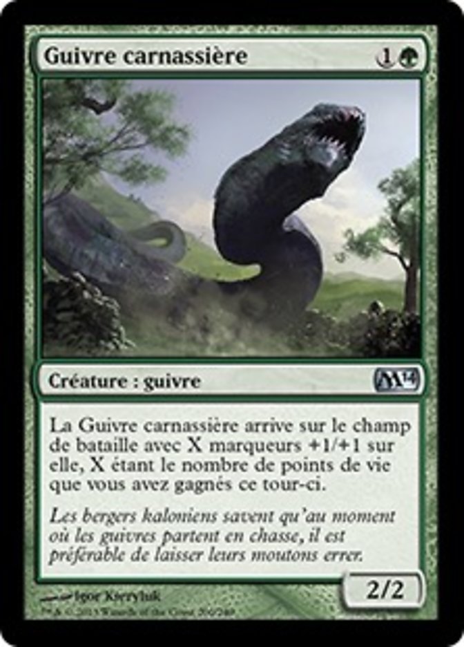 image Guivre carnassière