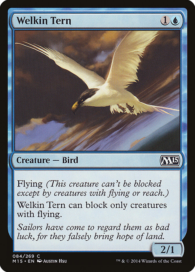 image Welkin Tern