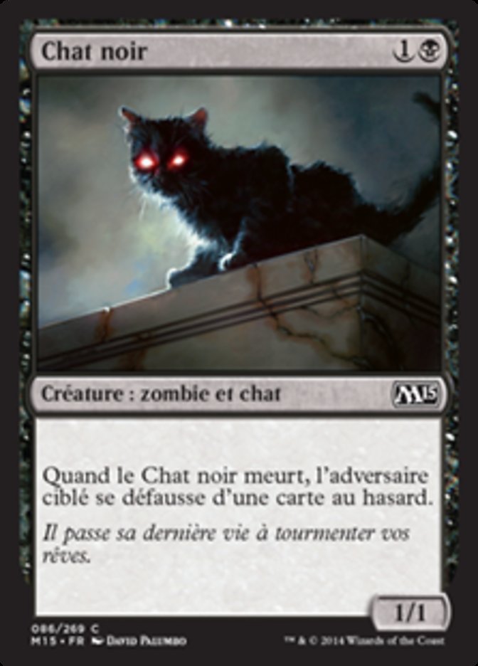 image Chat noir