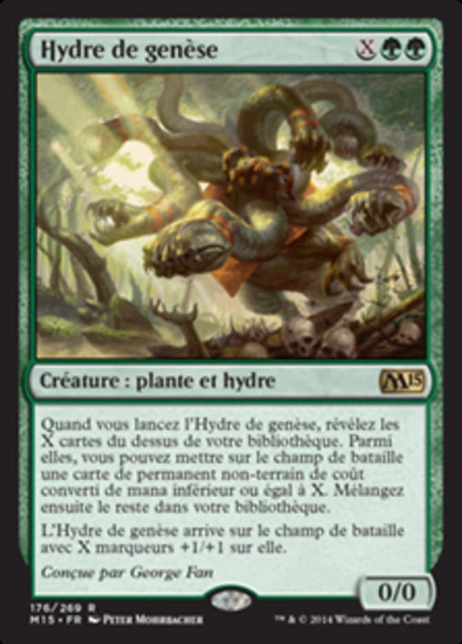 image Hydre de genèse