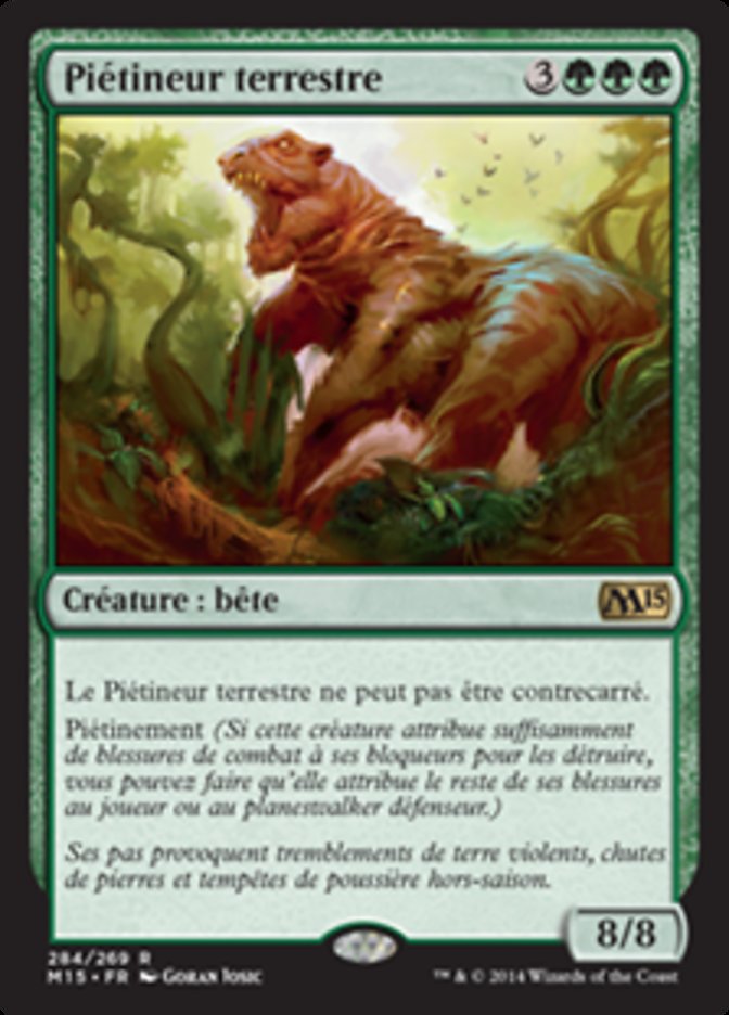 image Piétineur terrestre
