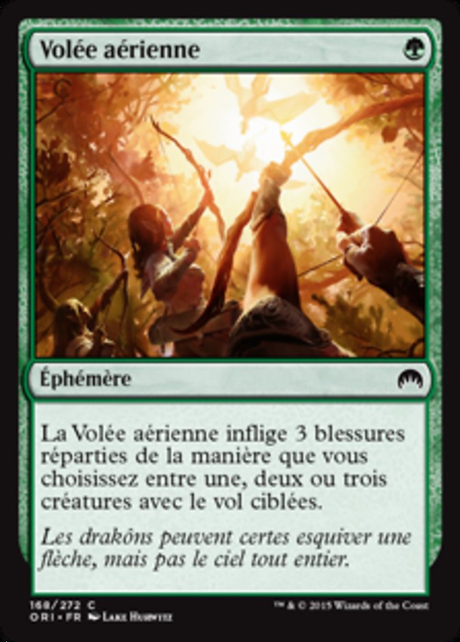 image Volée aérienne