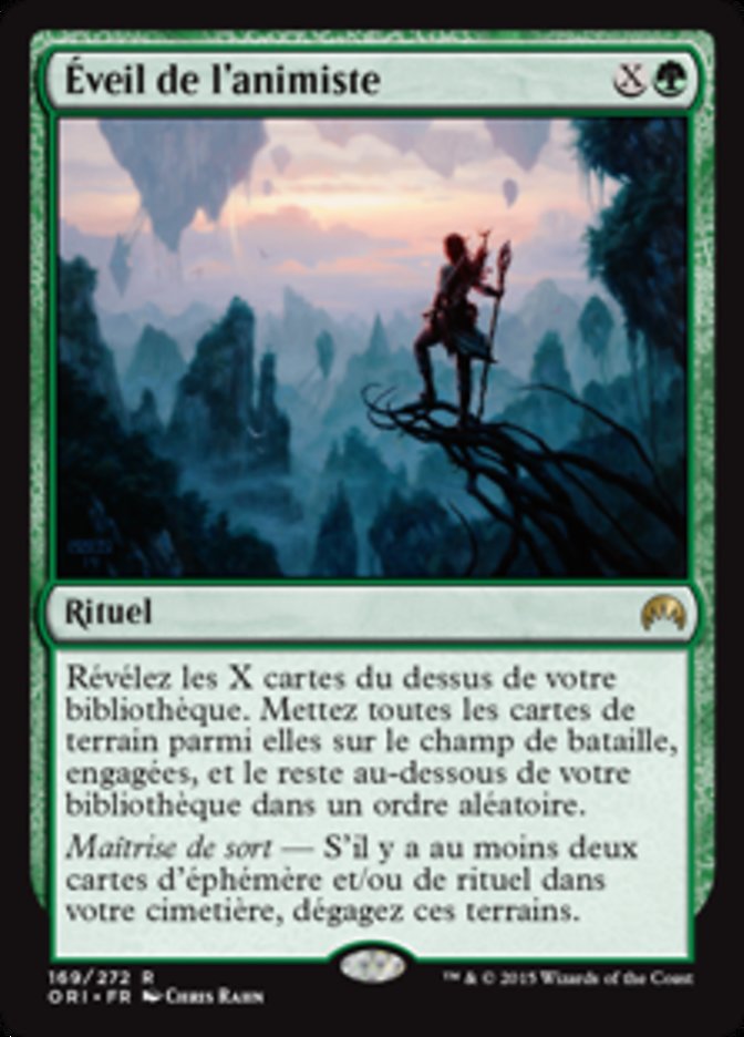 image Éveil de l'animiste