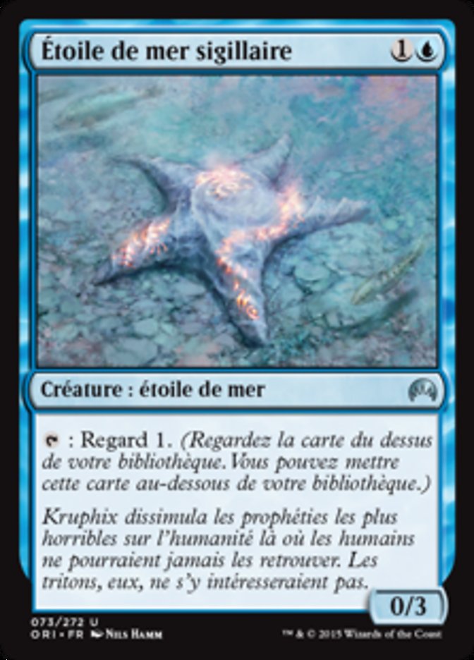 image Étoile de mer sigillaire