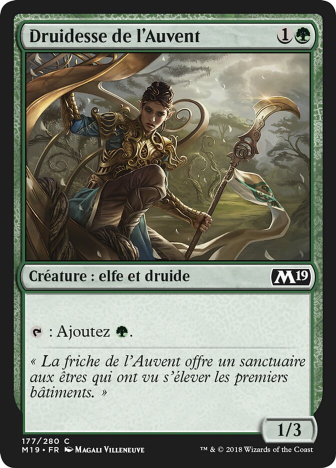 image Druidesse de l'Auvent
