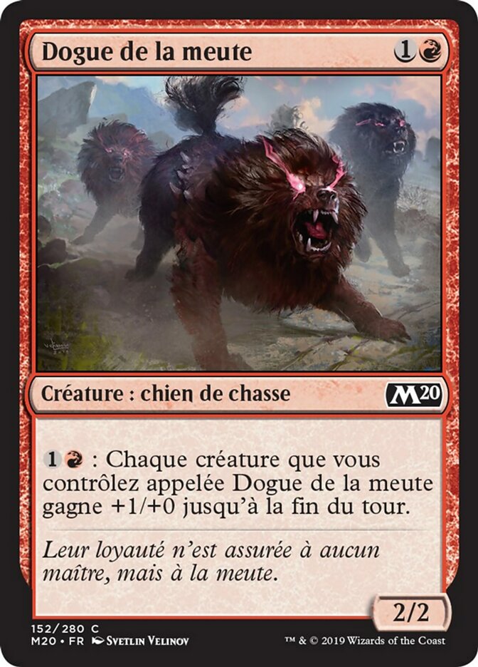 image Dogue de la meute