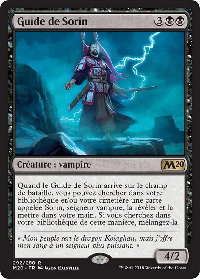 image Guide de Sorin