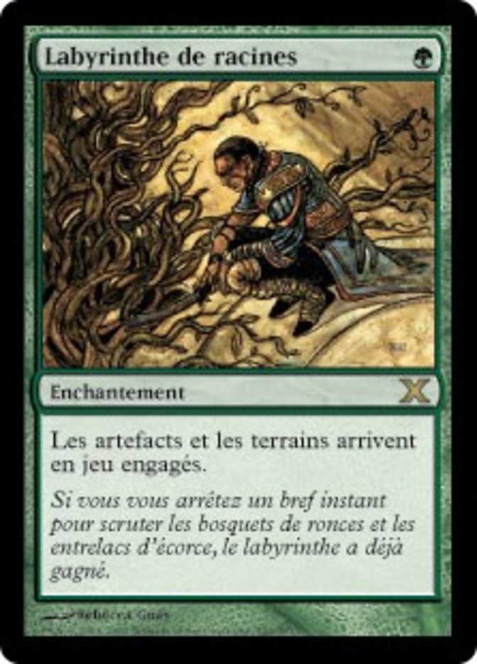 image Labyrinthe de racines