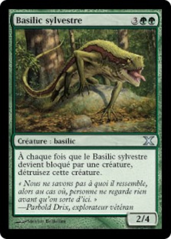 image Basilic sylvestre