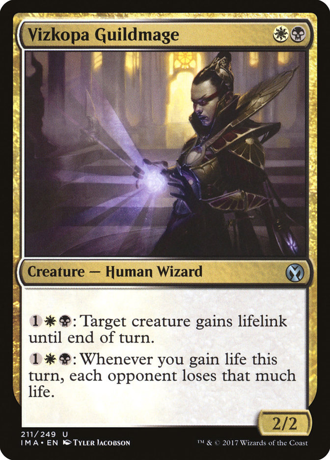 image Vizkopa Guildmage