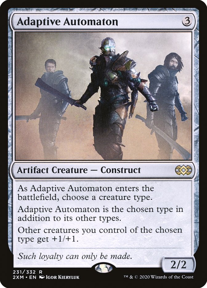 image Adaptive Automaton