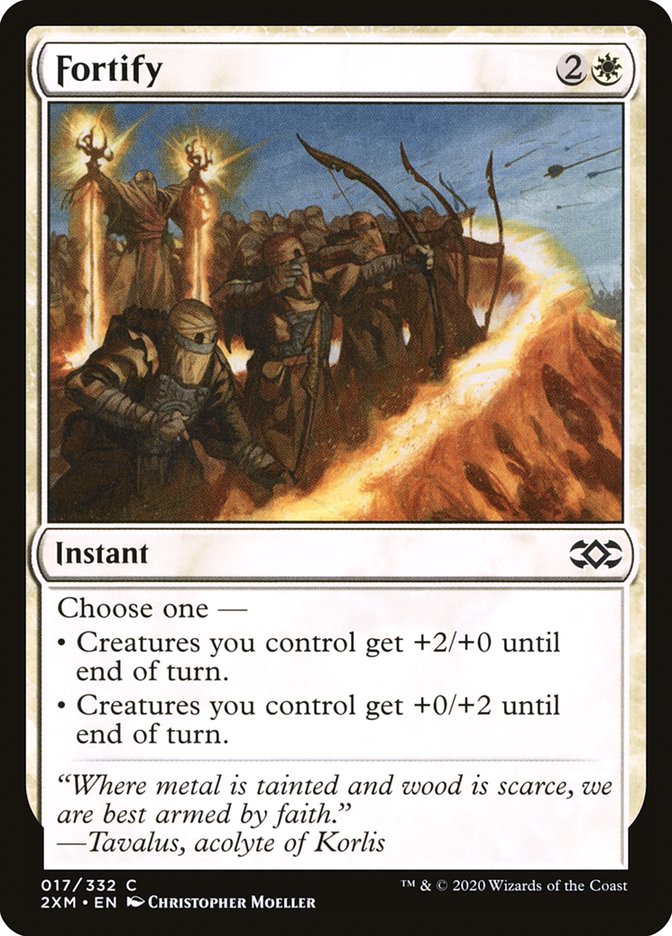 image Fortify