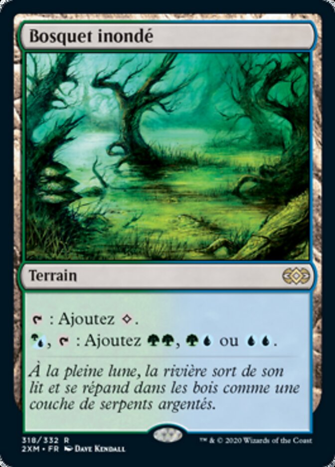 image Bosquet inondé