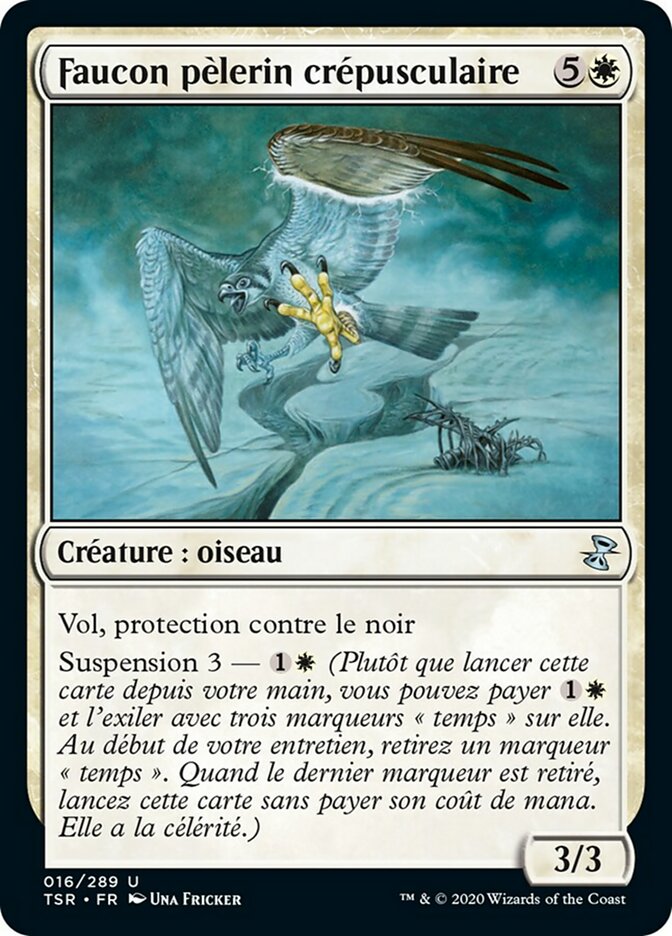 image Faucon pèlerin crépusculaire