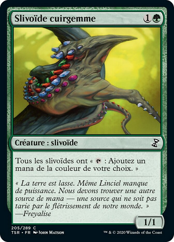 image Slivoïde cuirgemme