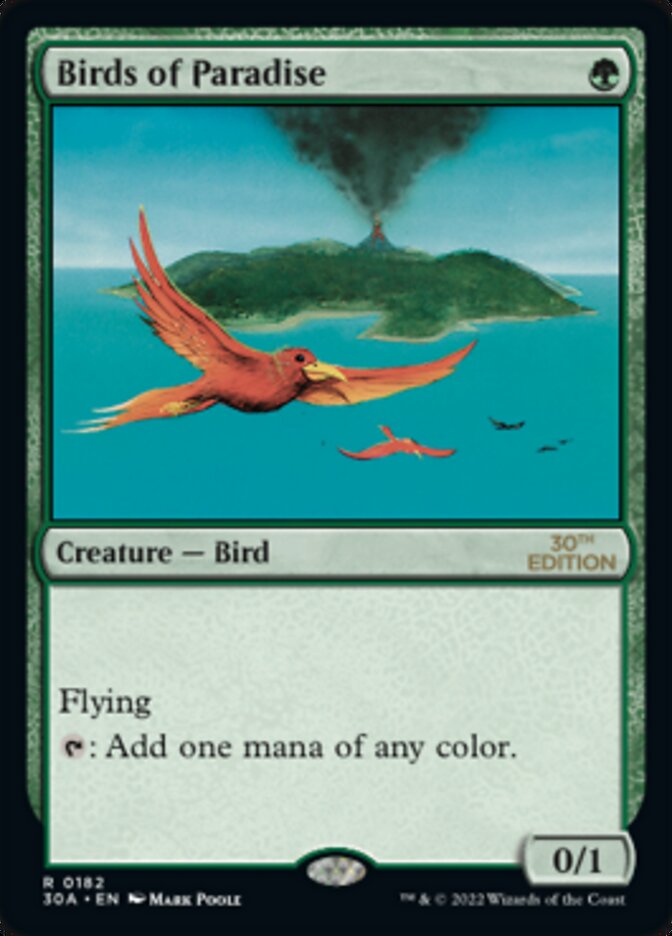 image Birds of Paradise