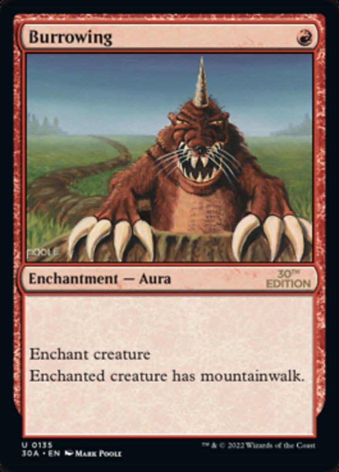 image Burrowing