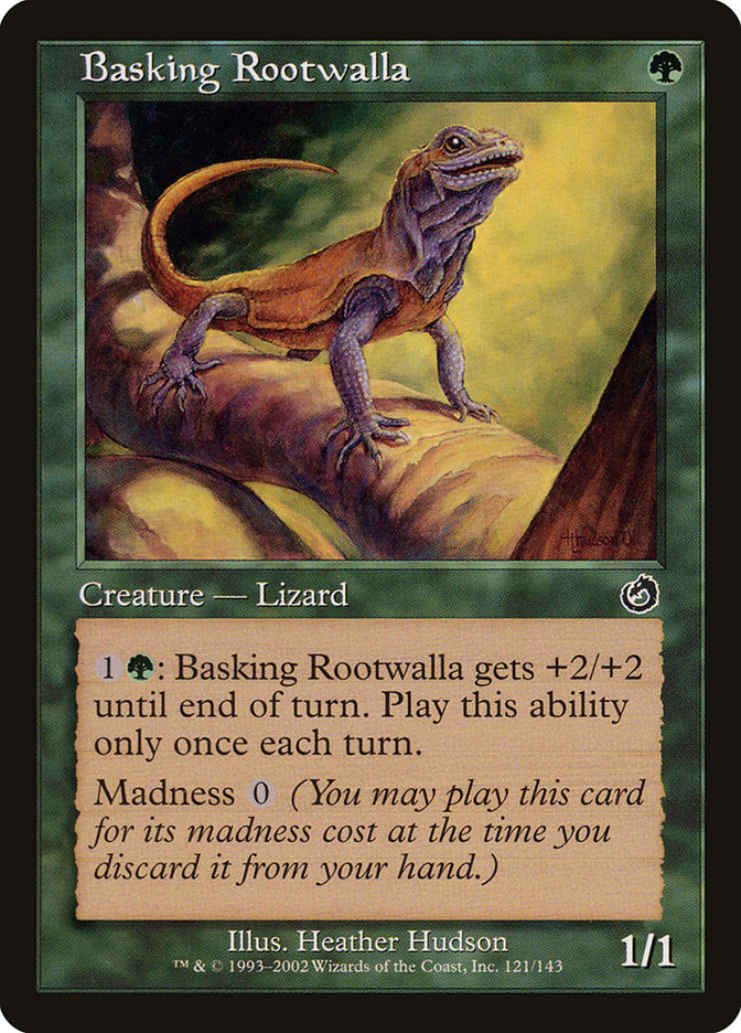 image Basking Rootwalla