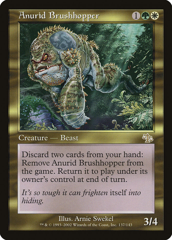 image Anurid Brushhopper