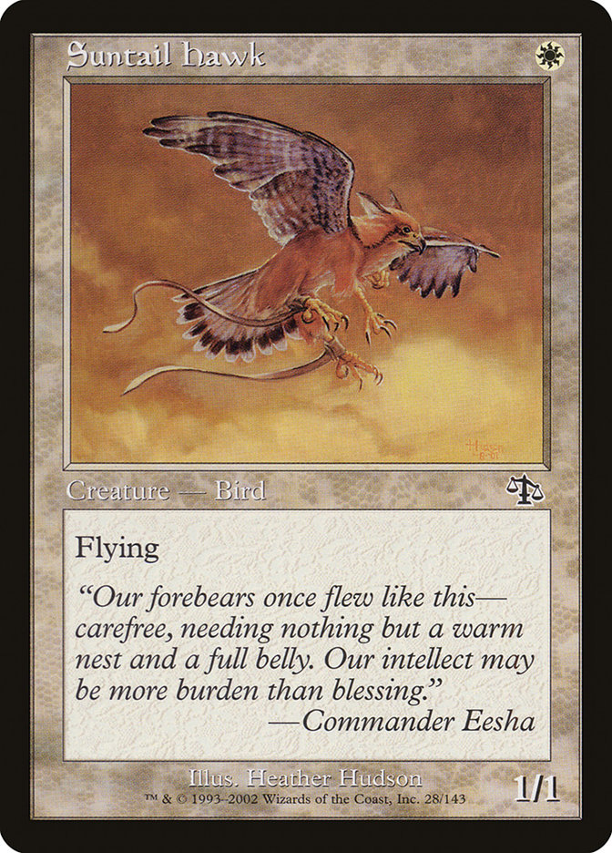 image Suntail Hawk