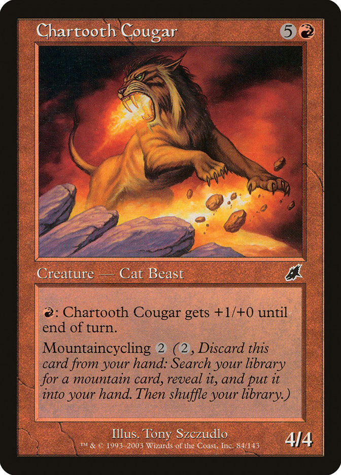 image Chartooth Cougar