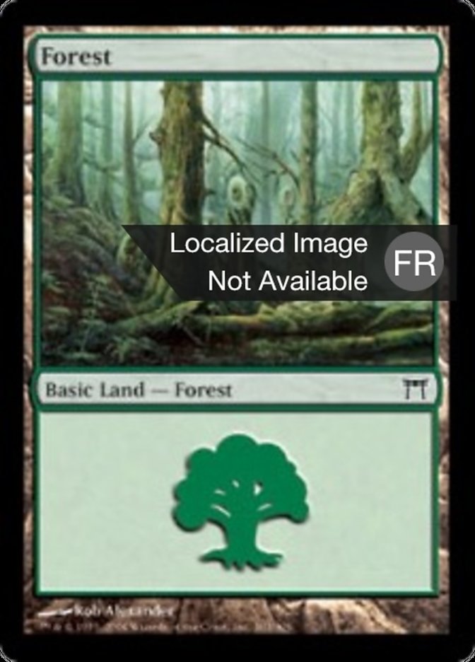 image Forêt