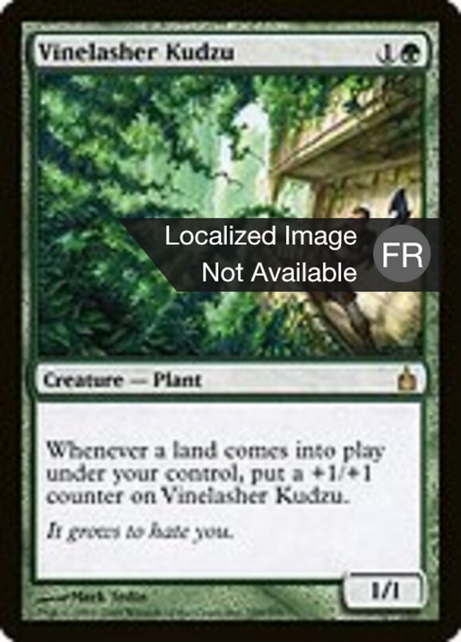 image Kudzu fouettevigne