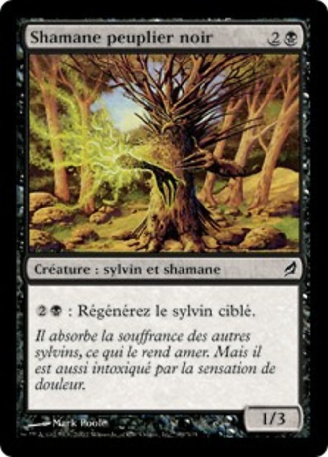 image Shamane peuplier noir