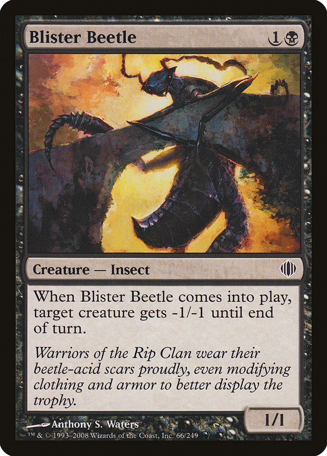 image Blister Beetle