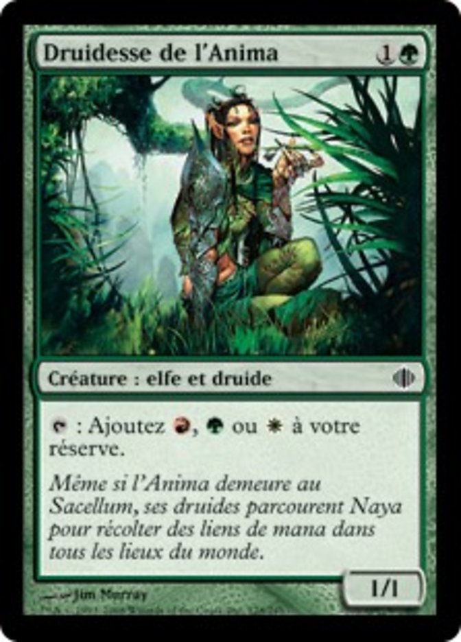 image Druidesse de l'Anima
