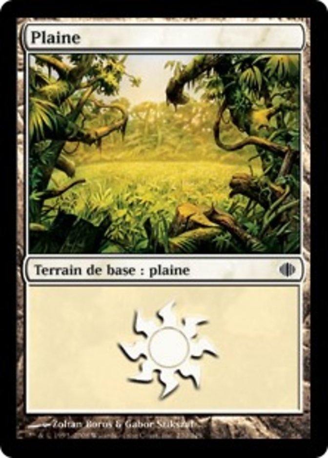 image Plaine