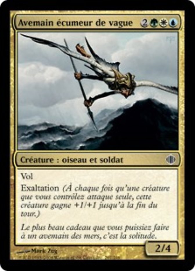 image Avemain écumeur de vague