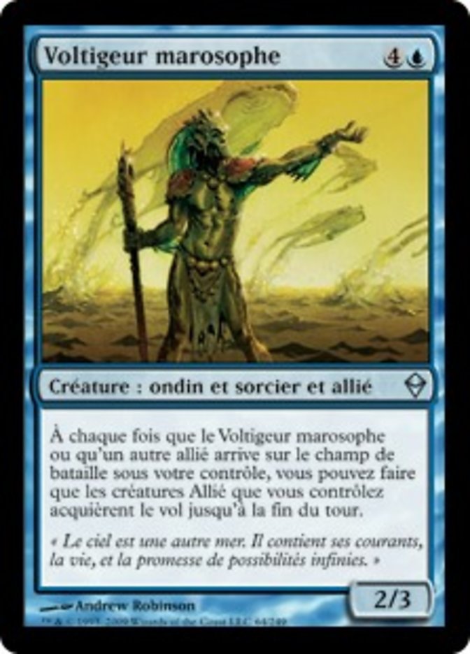 image Voltigeur marosophe