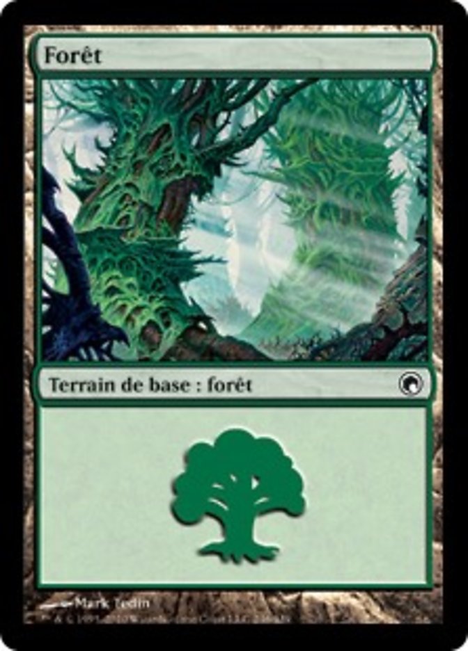 image Forêt