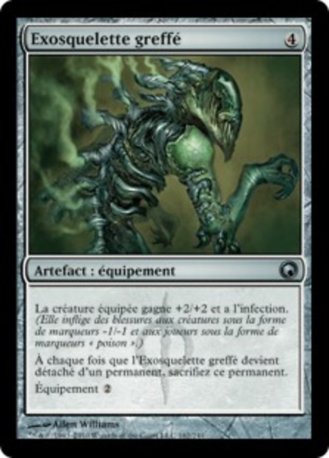 image Exosquelette greffé