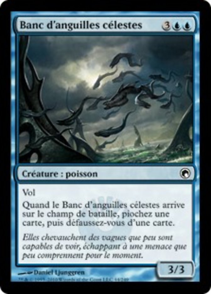 image Banc d'anguilles célestes
