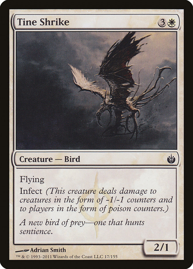 image Tine Shrike