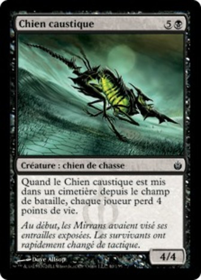 image Chien caustique