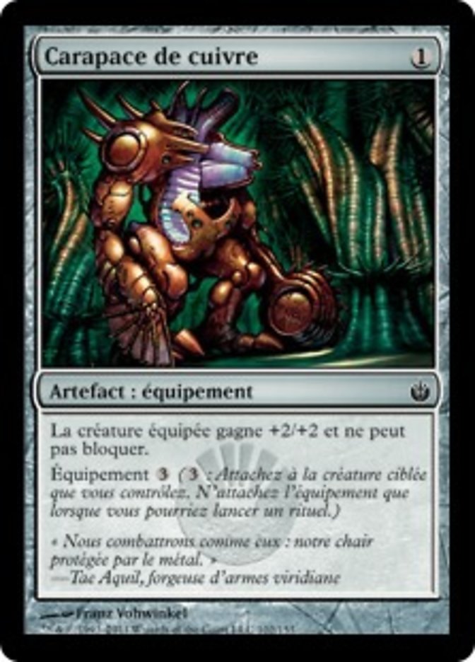 image Carapace de cuivre