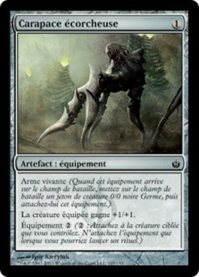 image Carapace écorcheuse