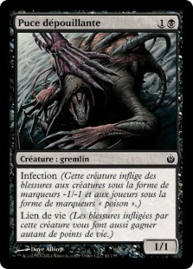 image Puce dépouillante