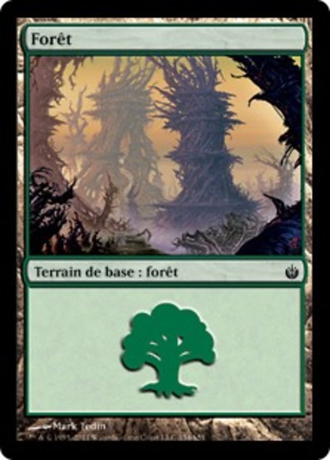 image Forêt
