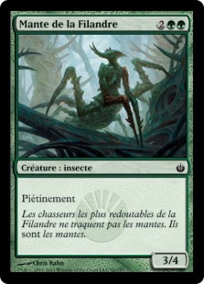 image Mante de la Filandre