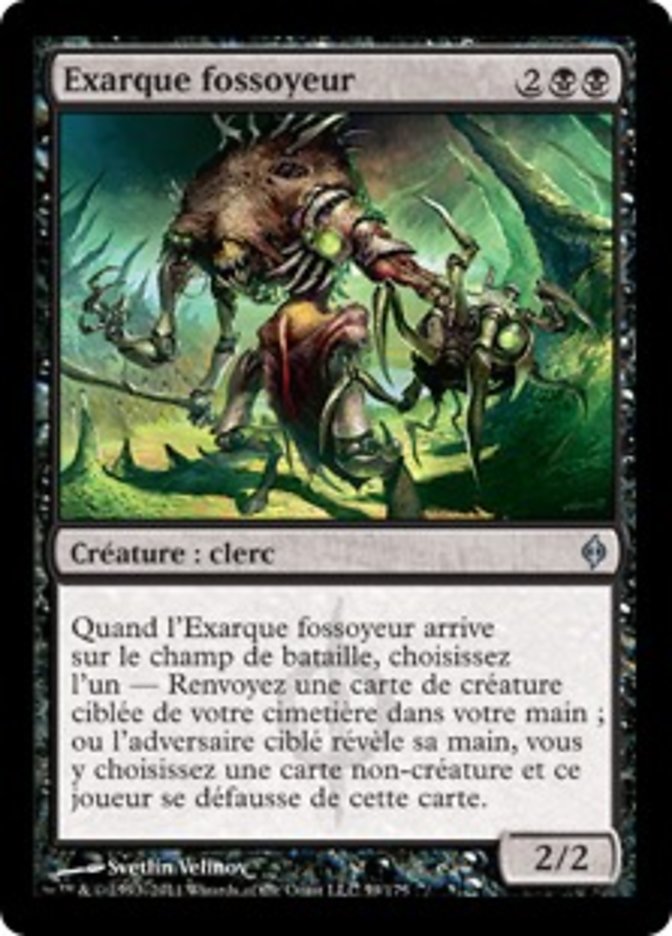 image Exarque fossoyeur