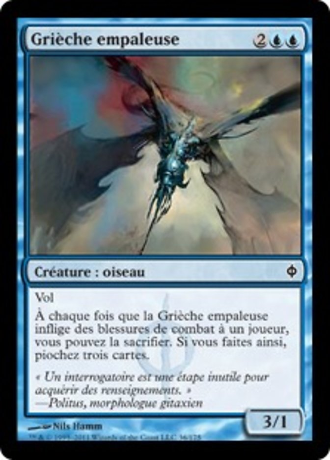 image Grièche empaleuse