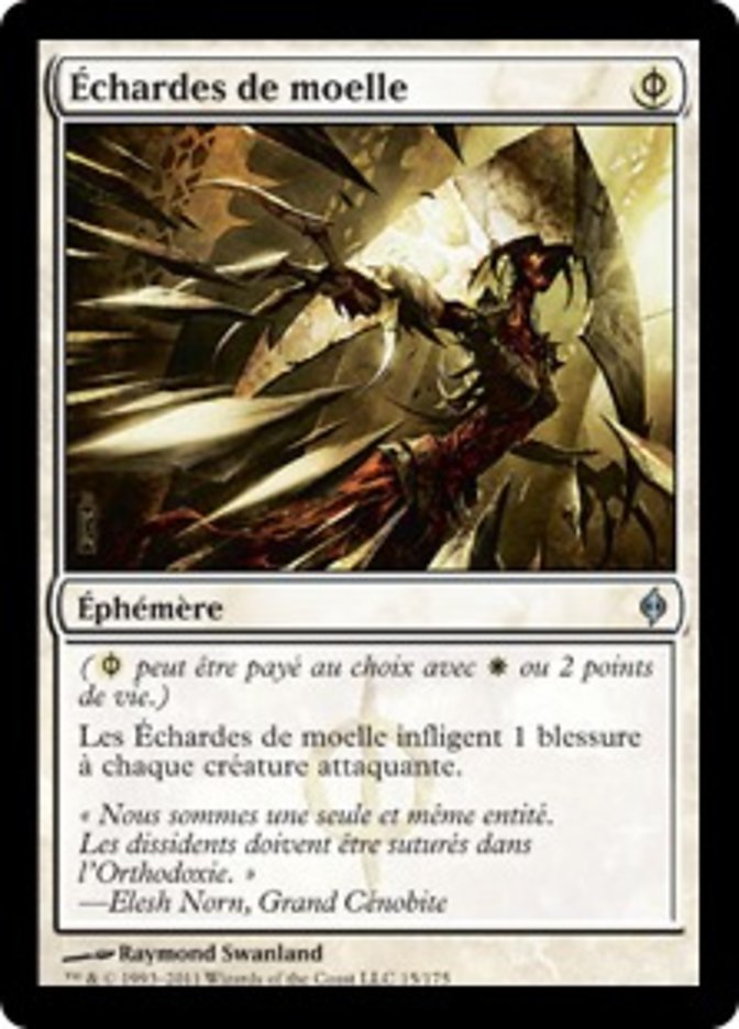 image Échardes de moelle