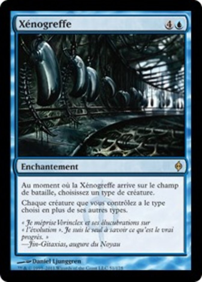 image Xénogreffe