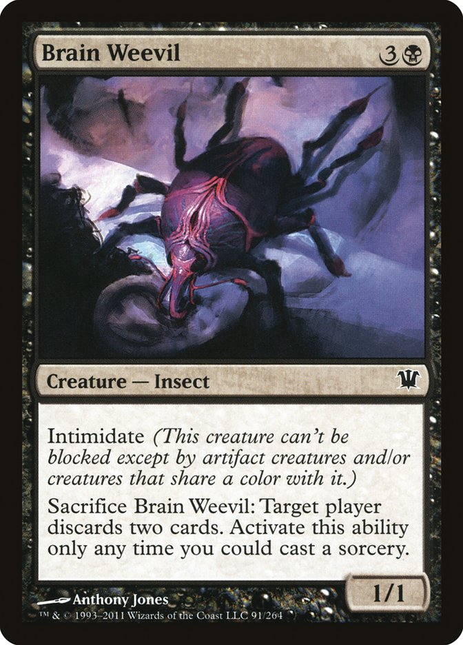 image Brain Weevil