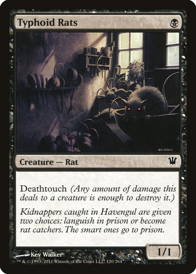 image Typhoid Rats