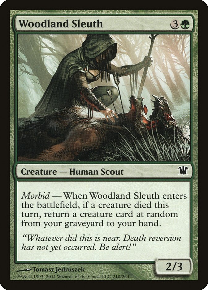 image Woodland Sleuth